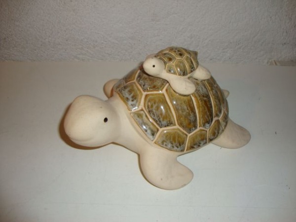 2 Schildkröten